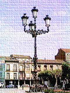 Fot&oacute;grafo por un dia